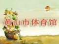 安徽省黃山市體育館